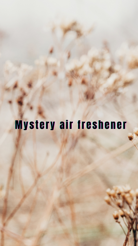 Mystery air freshener!! (Freshie)